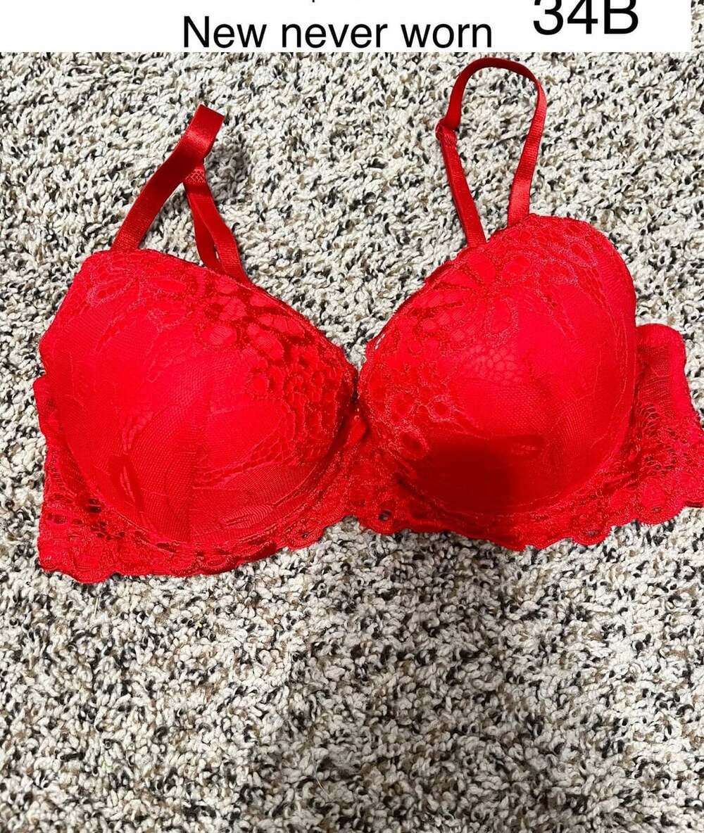 Hush Intimates Pushup Lace Bra Size 34B Red